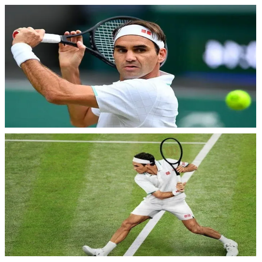 法国网球队强势日本网球队，费德勒统治全场的简单介绍