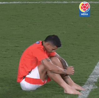 爱游戏官方入口-世界杯传奇谢幕，球迷泪洒赛场的简单介绍