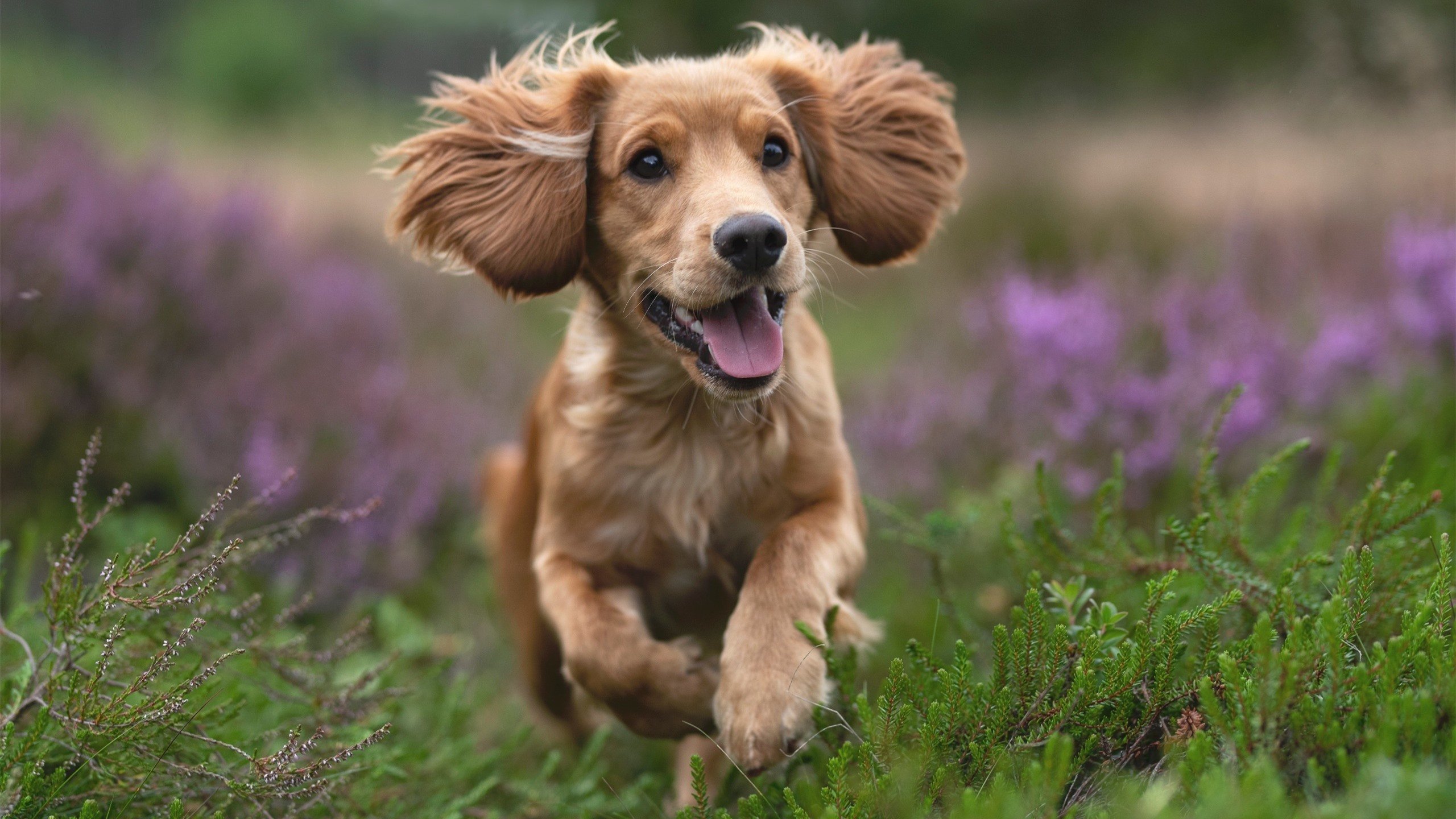 红土宣言，法网以唯一性完胜纽约枷锁，穆雷重写百年宿命