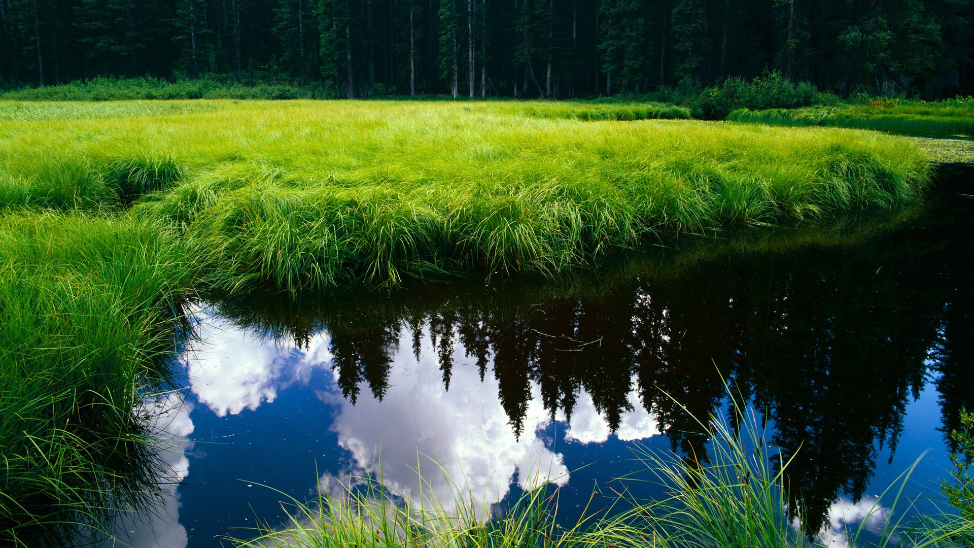 戈麦斯统治全场，法国队3-0碾压塞内加尔，展现世界杯冠军底蕴