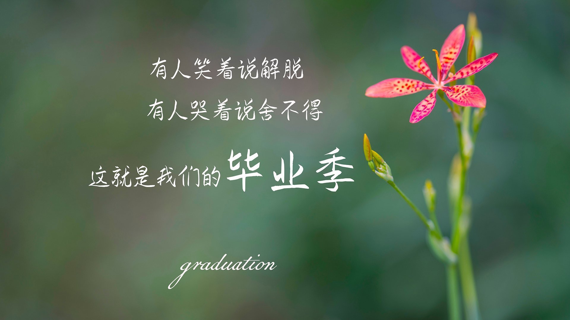 爱游戏-跨界主宰，小贾伦改写剧本，湖人强势晋级黄蜂