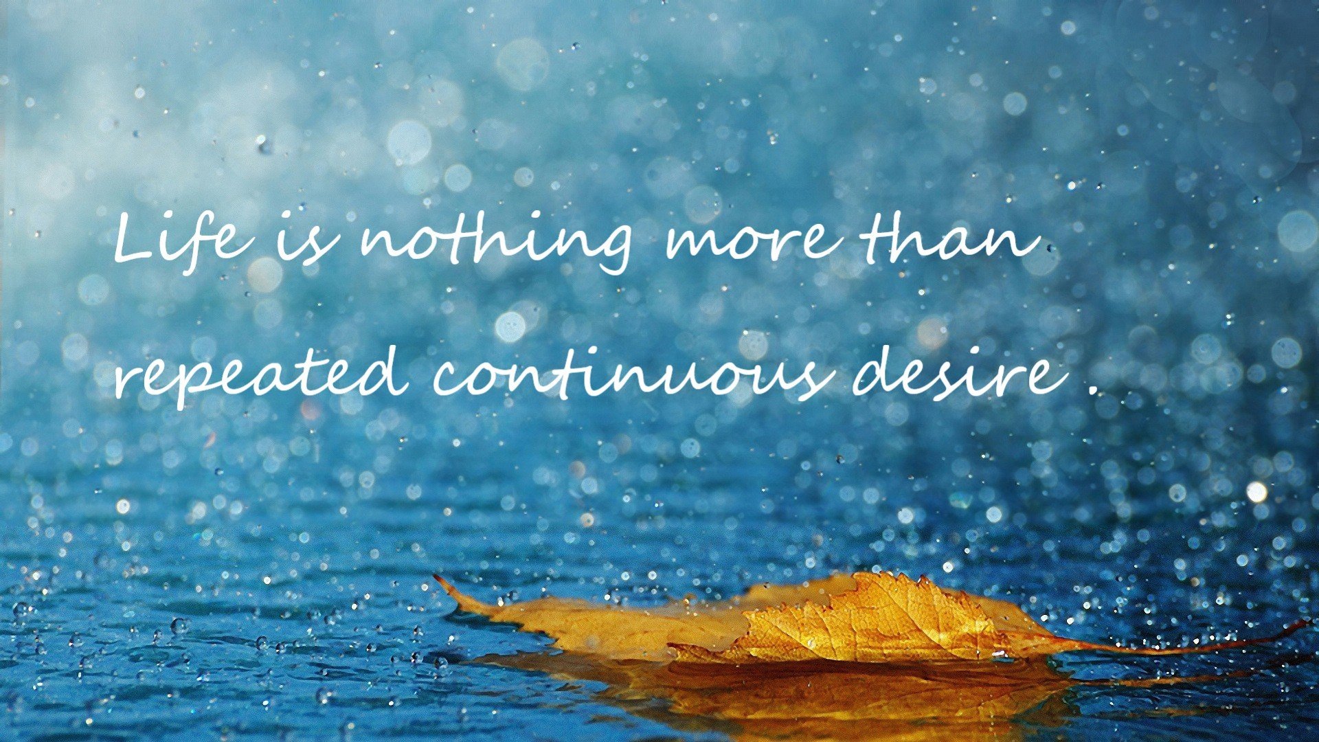 跨界主宰,小贾伦改写剧本,湖人强势晋级黄蜂