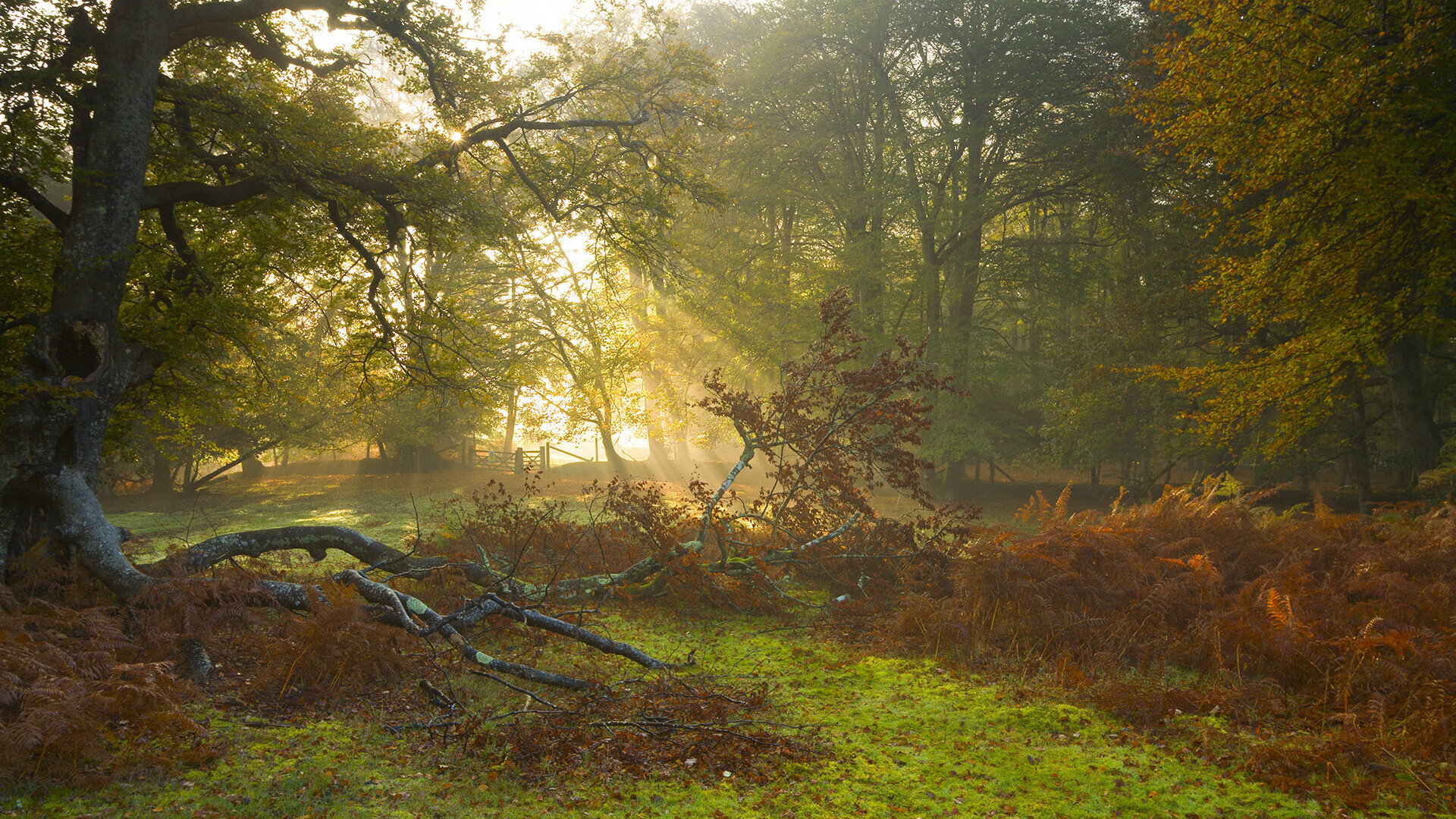 东方铁血与西方魔法，当辽宁的铠甲遇见哈利伯顿的权杖