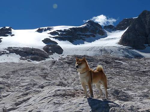 老鹰封锁公牛，奥运周期关键战的战术博弈与长远回响