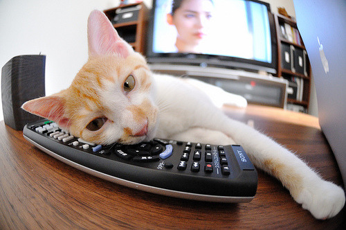 亚洲铁卫导演爆冷!富安健洋制胜攻防,巴西豪门斩落亚特兰大