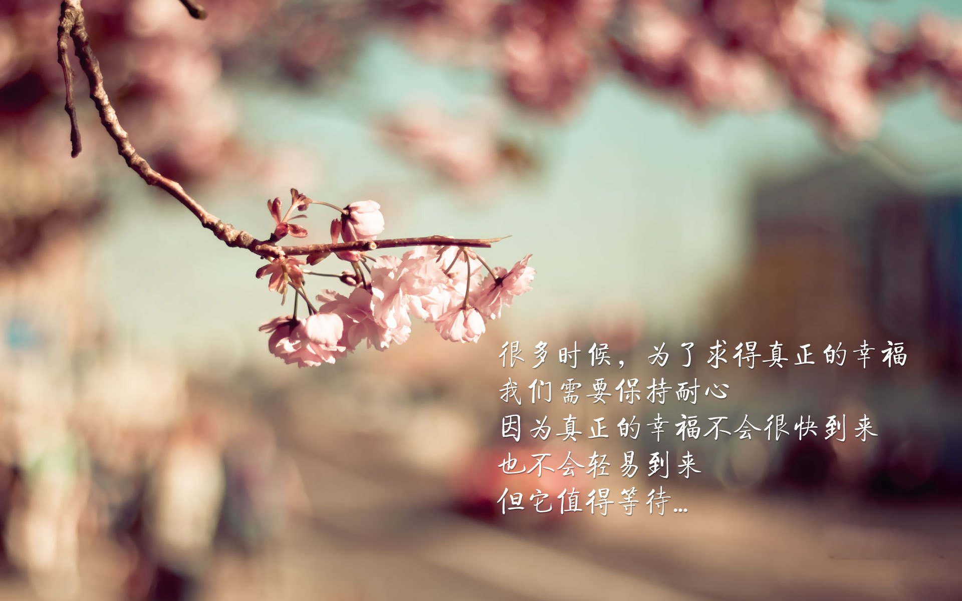 铁幕与利刃,巴斯托尼的防线艺术与伊朗的战术终结