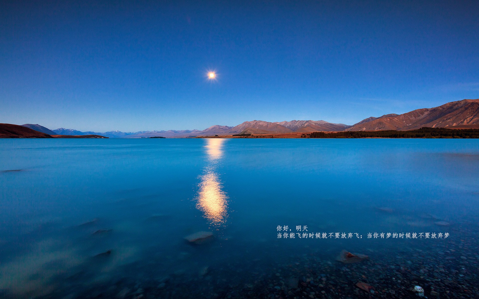 爱游戏tv-世界排名争夺战之夜，约基奇带队取胜