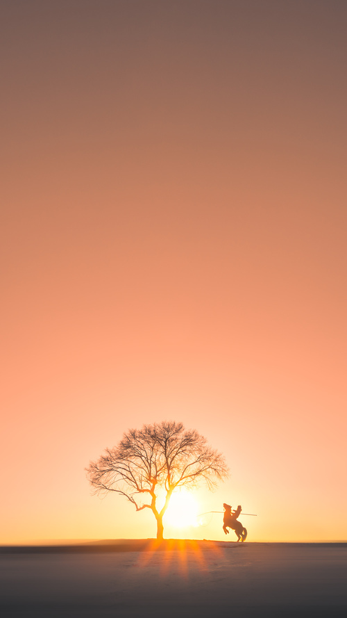 爱游戏在线-唯一性，沙特最后时刻击败巴西，德里赫特如何成为关键先生