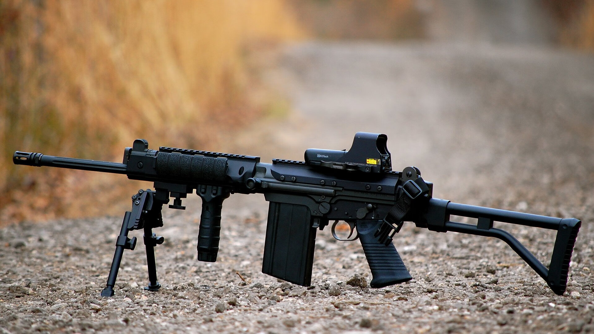 群蜂狂舞难敌猎狐利齿，福克斯末节主宰黄蜂广厦战局