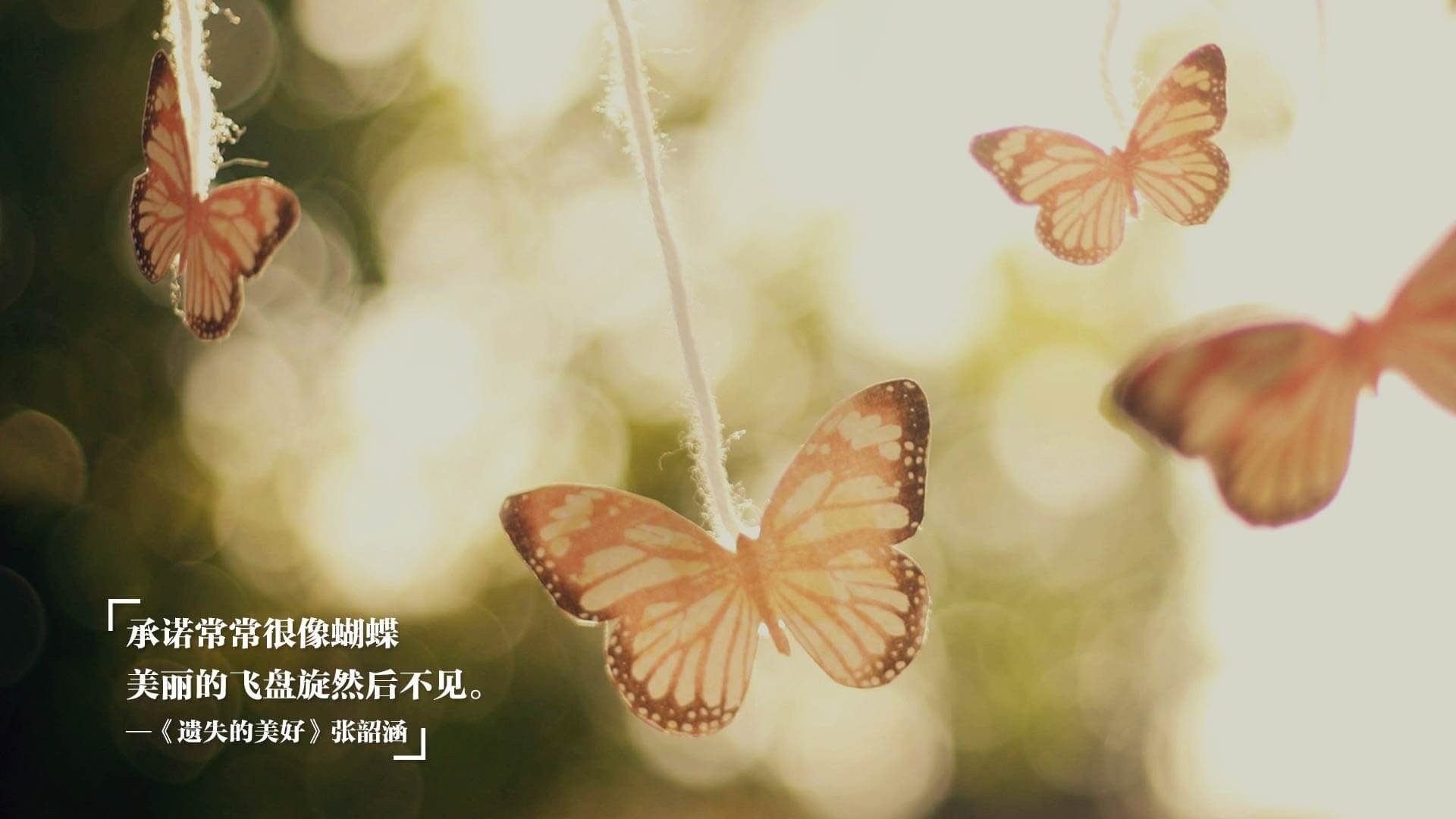 新大陆的铁壁，奥亚尔萨瓦尔如何让德国战车在南美哑火