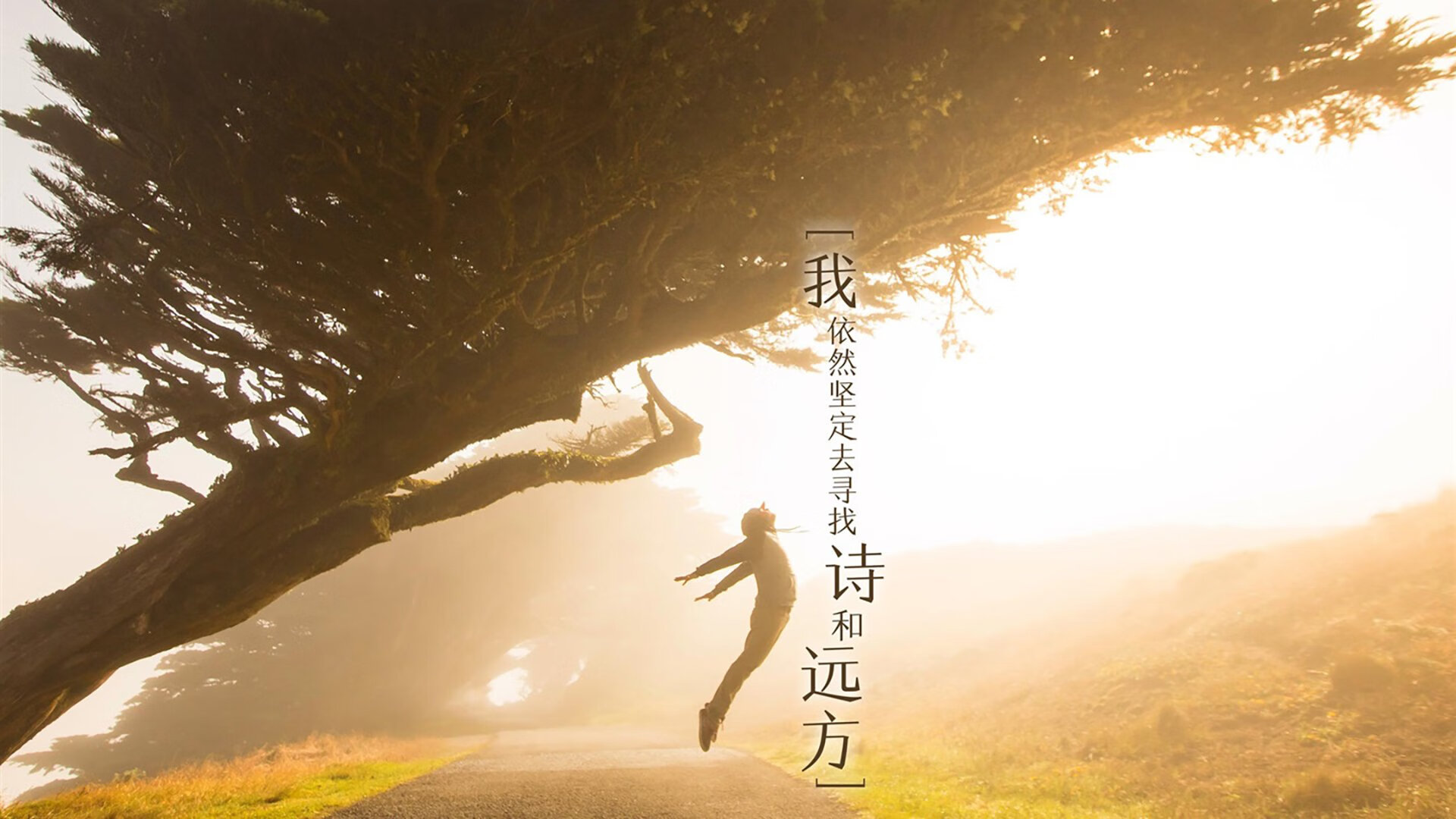 黄与红的界限,当德里赫特用进球丈量卡塔尔的足球版图