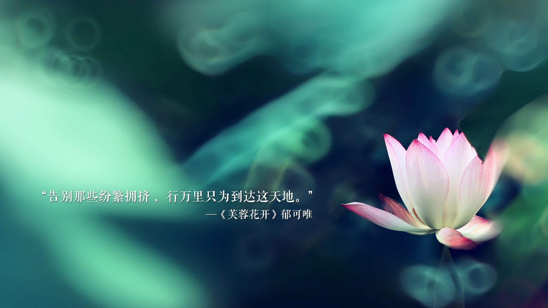 爱游戏体育-无声的共振，2026世界杯F组德国vs泰国，塔雷米如何用一记传球改写足球逻辑