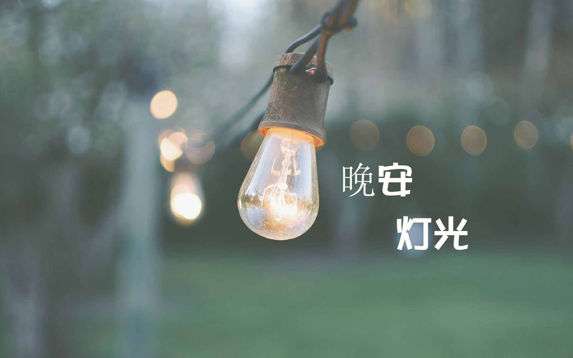 2026世界杯E组风云突变,加纳横扫波兰,坎塞洛一球成名震撼足坛