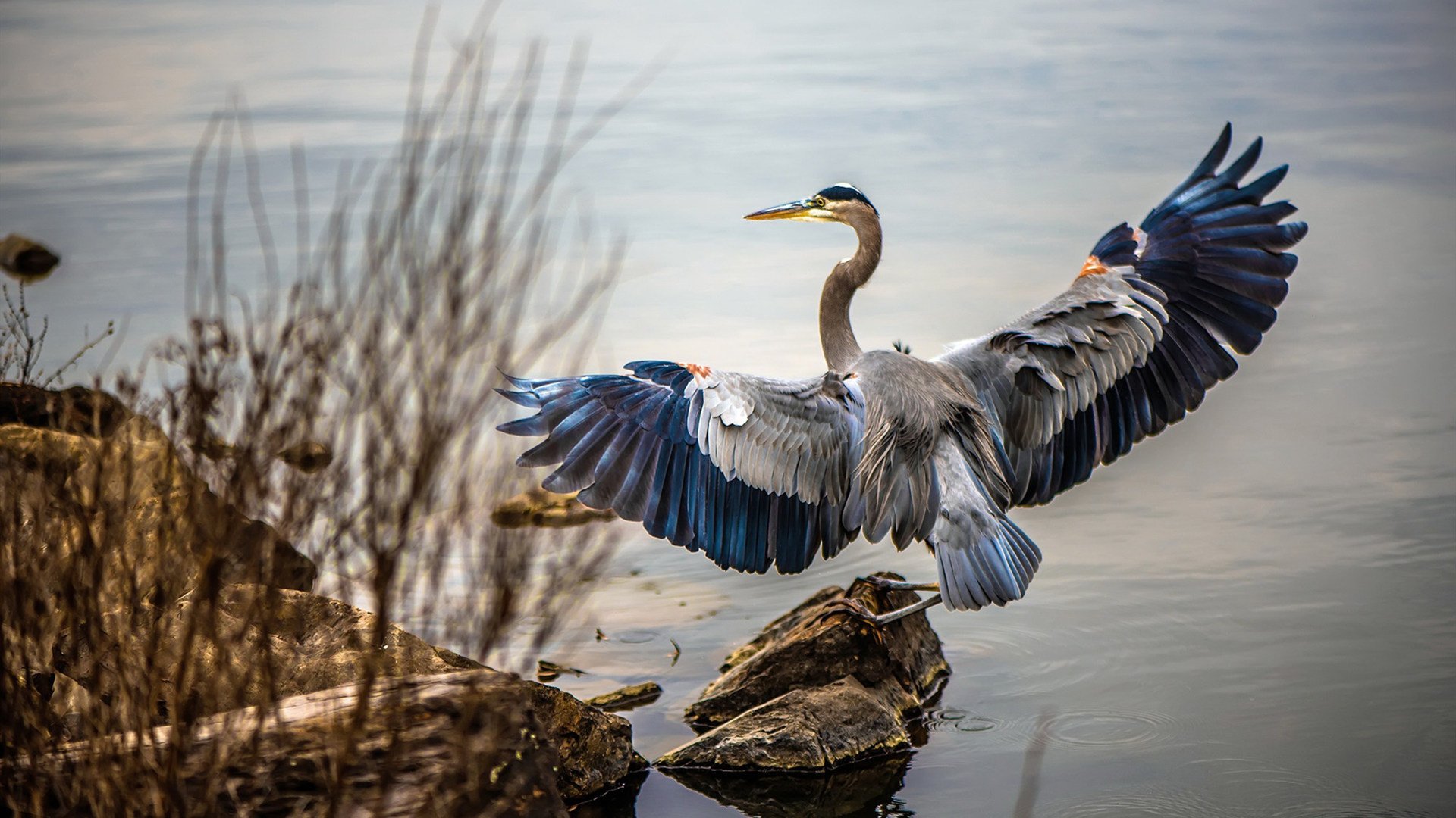 1.沙漠之狐撕碎南亚铁幕,摩洛哥用一场防守反击,为2026世界杯写下最热血序章